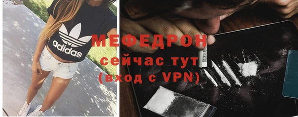 спиды Богородицк