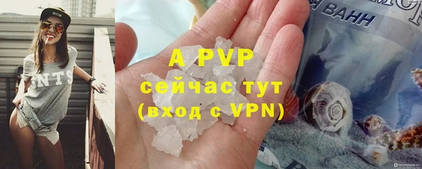 спиды Богородицк