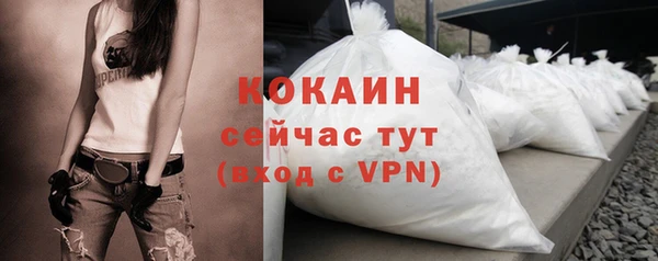 спиды Богородицк