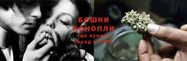 спиды Богородицк