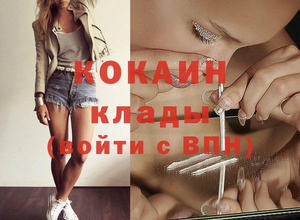 спиды Богородицк