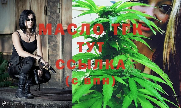 спиды Богородицк